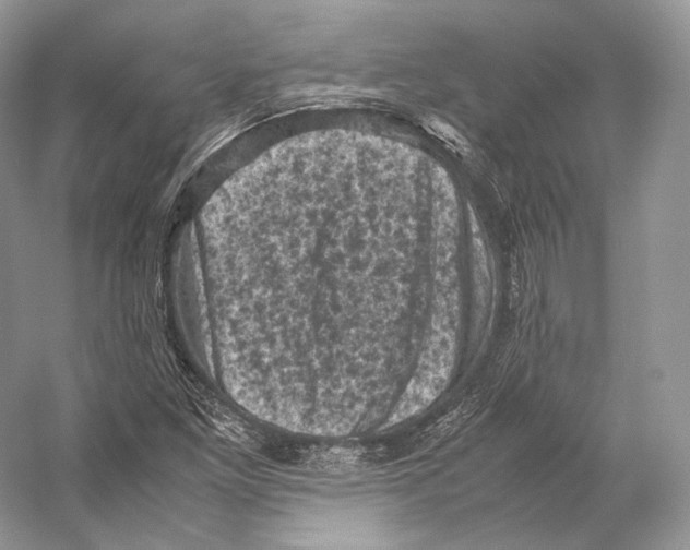 X0000053131261200508081309