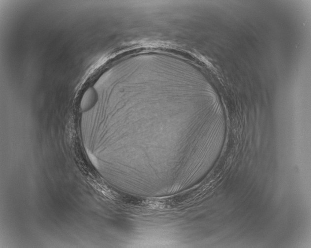 X0000053131263200508081308