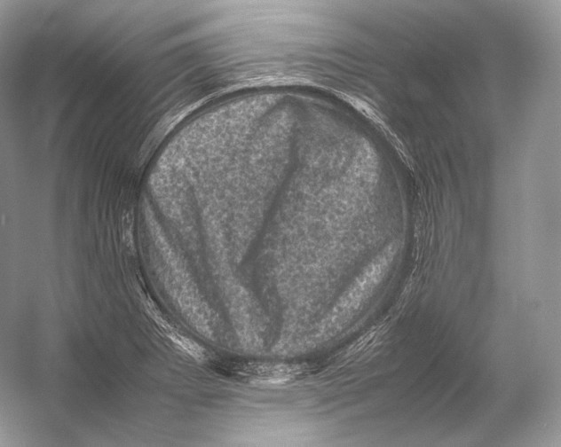 X0000053131273200508081308