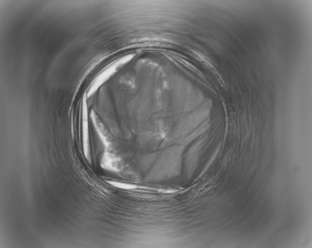 X0000053131275200508081308