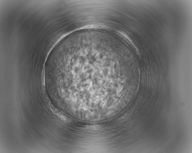 X0000053131276200508081308