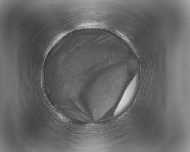 X0000053131277200508081308