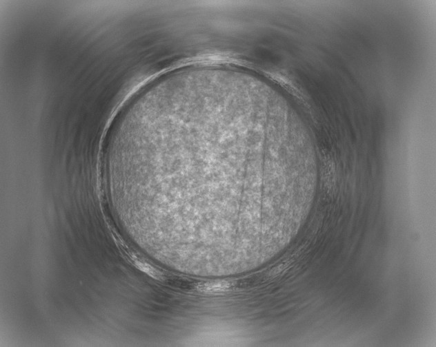 X0000053131278200508081308