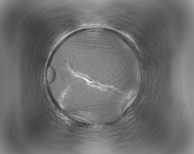 X0000053131279200508081308