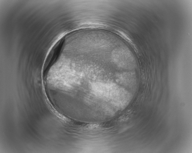 X0000053131283200508081308