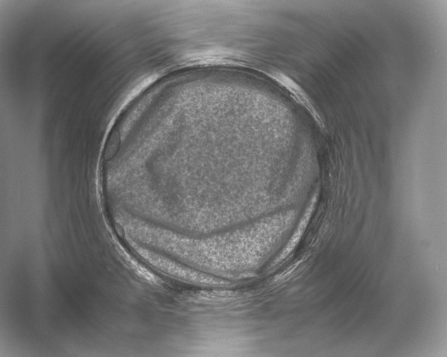 X0000053131285200508081308