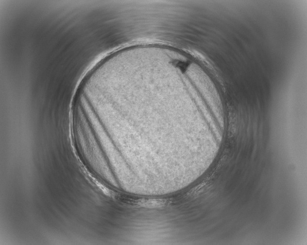 X0000053131286200508081308