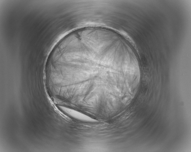 X0000053131287200508081308
