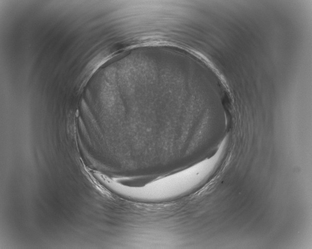 X0000053131289200508081308