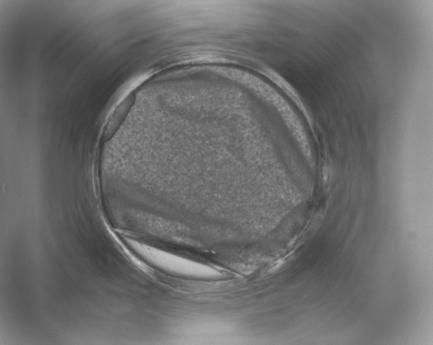 X0000053131293200508081308