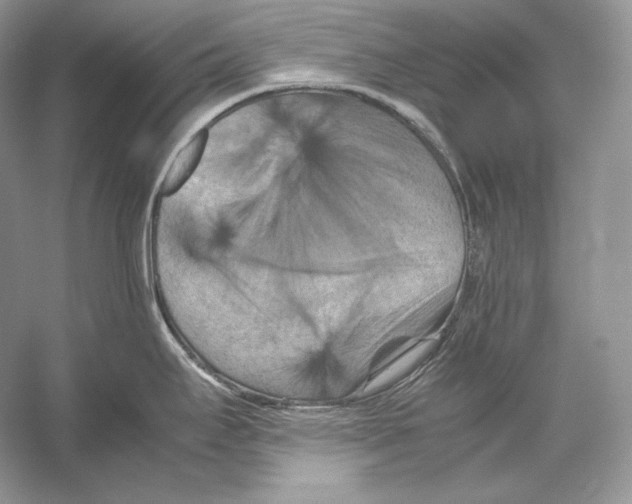 X0000053131295200508081308