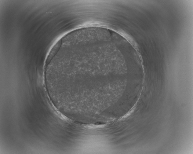 X0000053131296200508081308