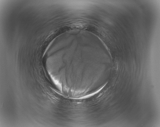 X0000053131297200508081307