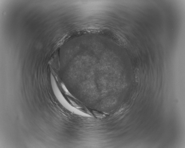 X0000053131298200508081307