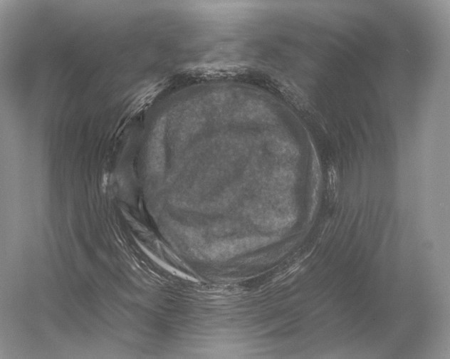X0000053131300200508081307