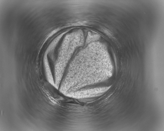 X0000053131308200508081307