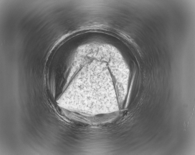 X0000053131316200508081307