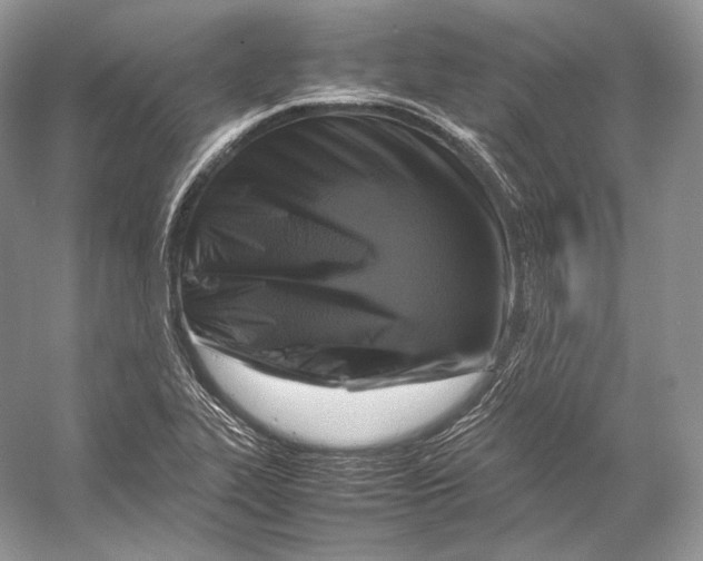 X0000053131319200508081307