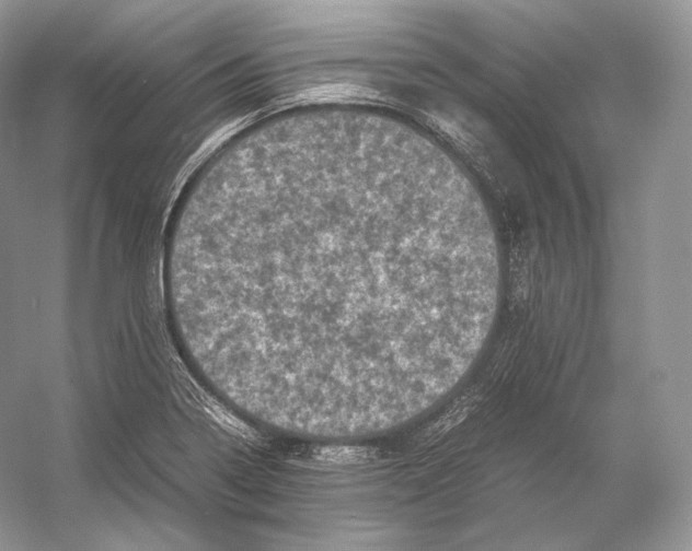 X0000053131322200508081308