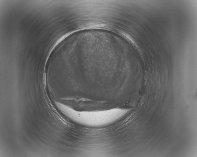 X0000053131324200508081308