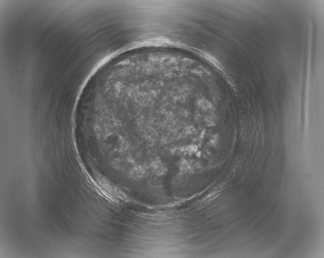 X0000053131326200508081308
