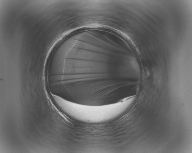 X0000053131327200508081308