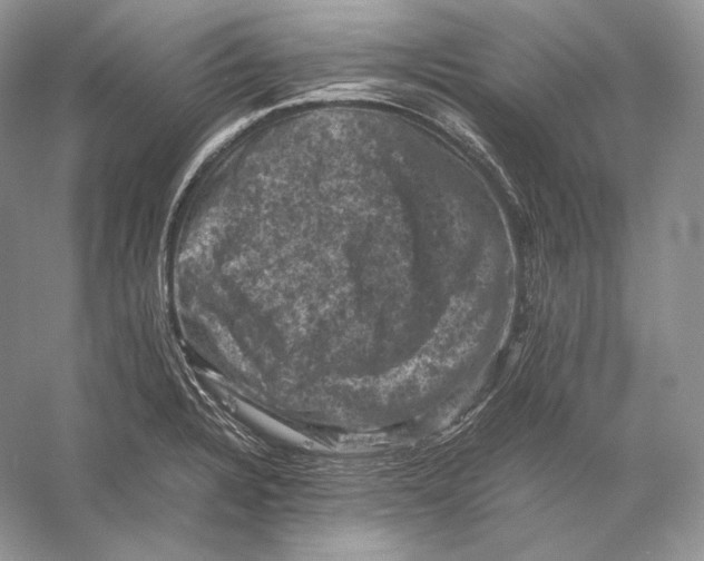 X0000053131328200508081308