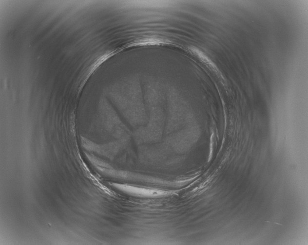 X0000053131329200508081308