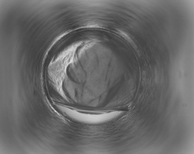 X0000053131331200508081308