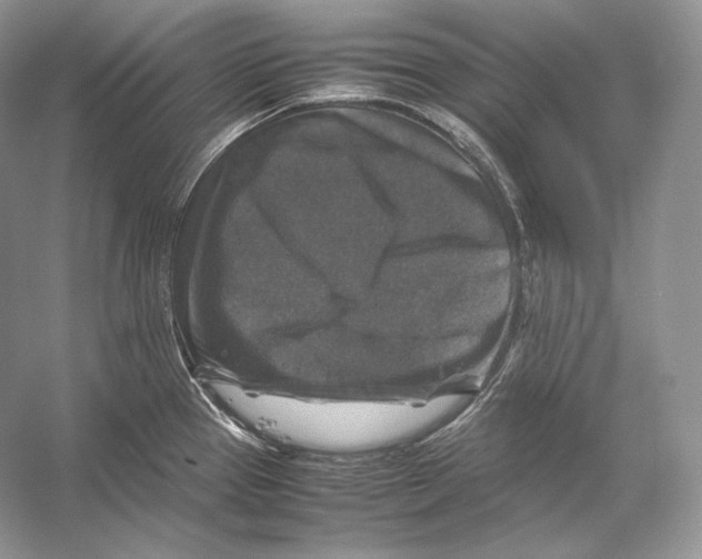 X0000053131337200508081308