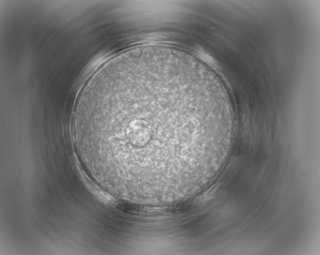 X0000053131338200508081308