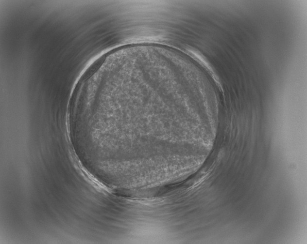X0000053131340200508081308