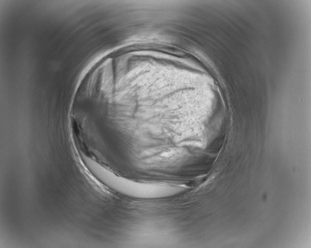 X0000053131344200508081308