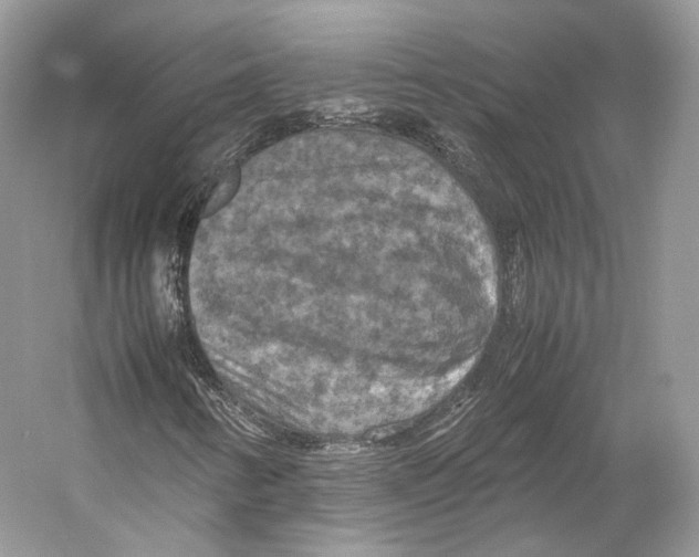 X0000053131346200508081307