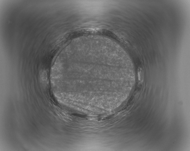 X0000053131347200508081307