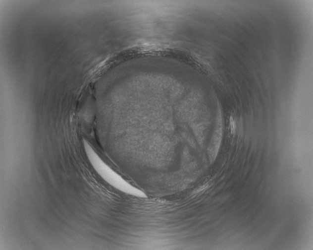 X0000053131348200508081307
