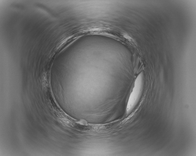 X0000053131353200508081307