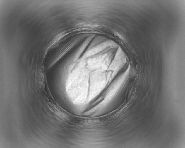 X0000053131354200508081307