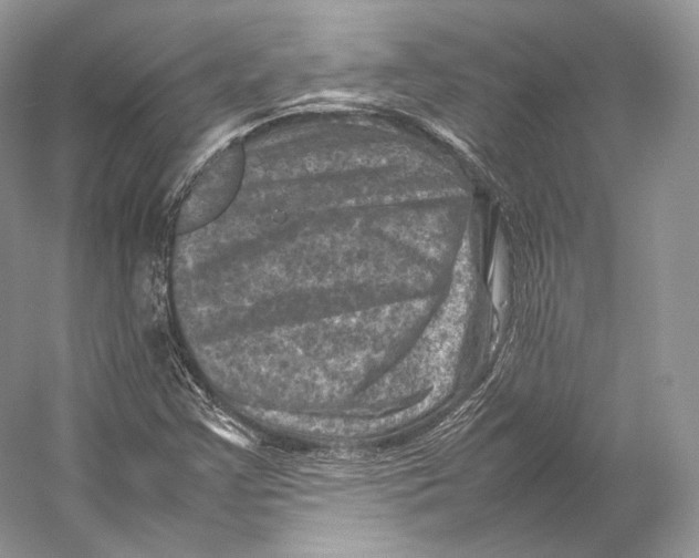 X0000053131355200508081307
