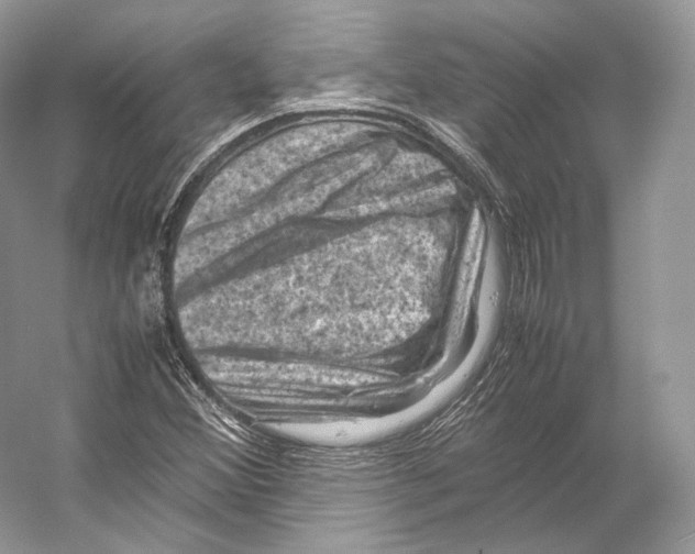 X0000053131356200508081307