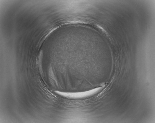 X0000053131361200508081307