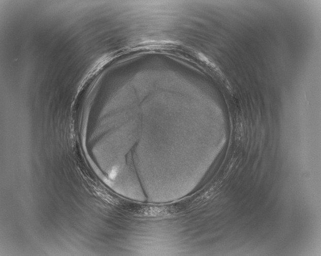 X0000053131362200508081307