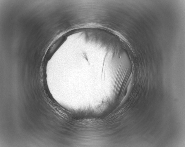 X0000053131364200508081307
