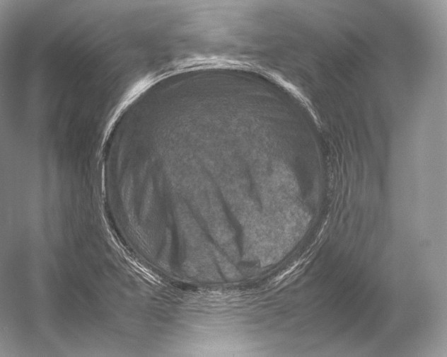 X0000053131365200508081307