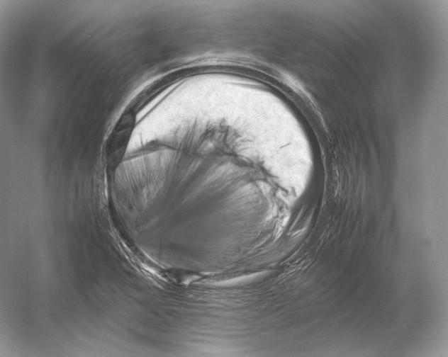 X0000053131368200508081307