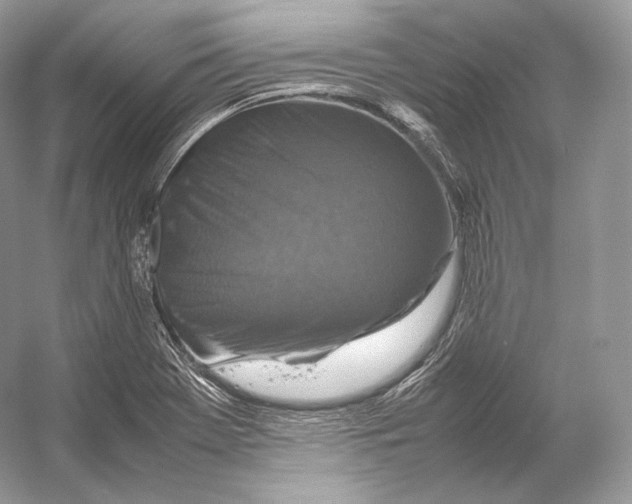 X0000053131369200508081307