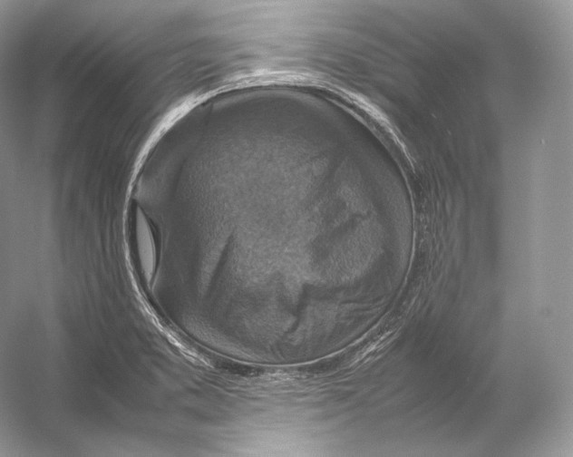 X0000053131373200508081307