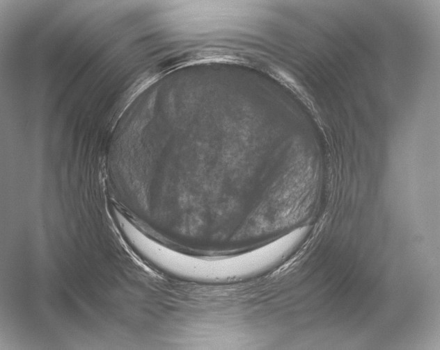 X0000053131377200508081307