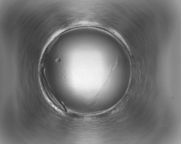 X0000053131381200508081306