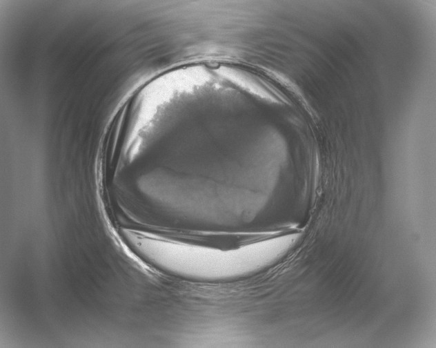 X0000053131383200508081306